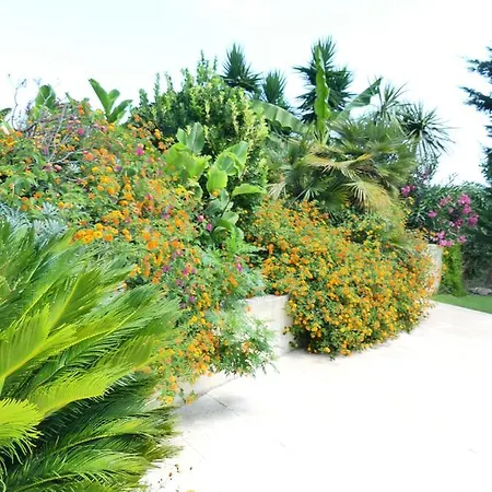 Villa Luxueuse Climatisee A Cannes Vallauris