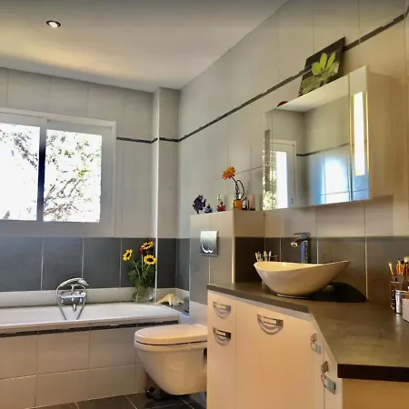 Luxueuse Climatisee A Cannes Villa Vallauris