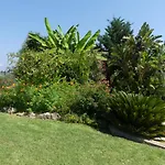 Villa Luxueuse Climatisée à Cannes